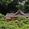松と茶屋