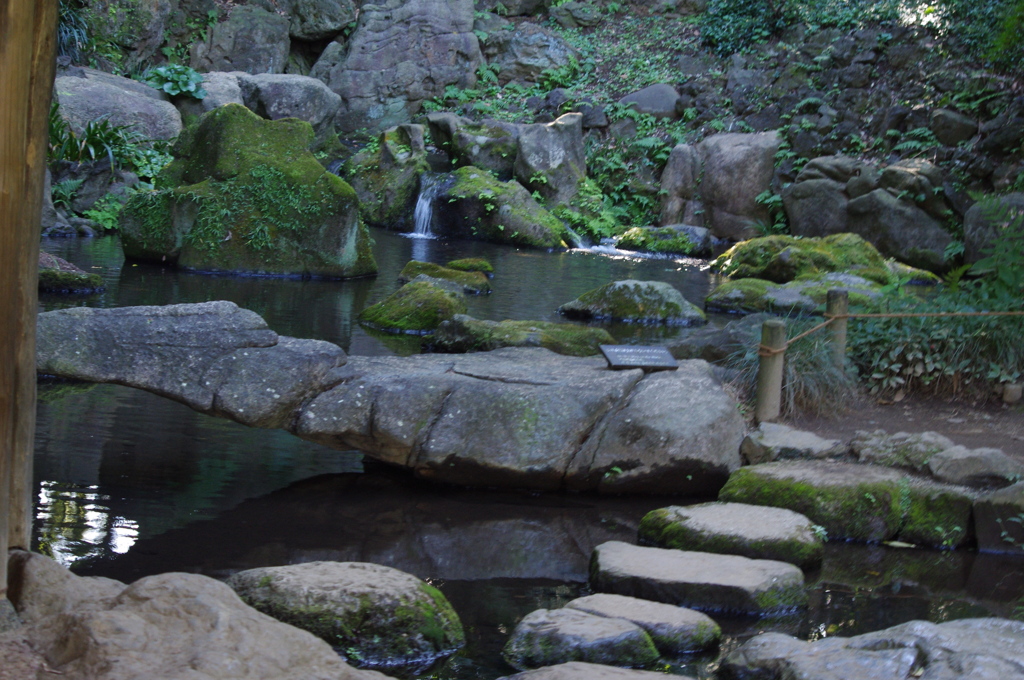 庭園風景　7