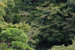 谷