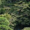 谷