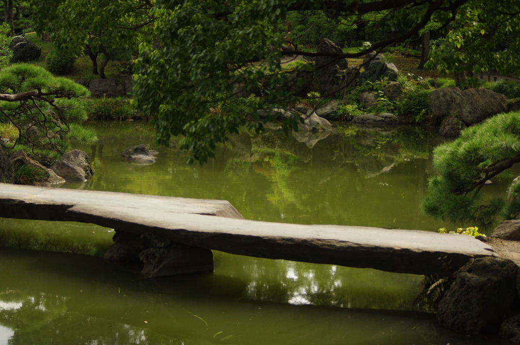 橋　清澄庭園　8月