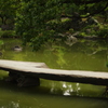 橋　清澄庭園　8月
