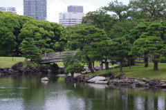 池の風景