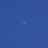 上空に飛行機発見！