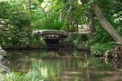 おとめ山公園　1