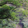 散策道　野毛山公園　１０月