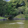 池　橋　旧浜離宮庭園　7月中旬