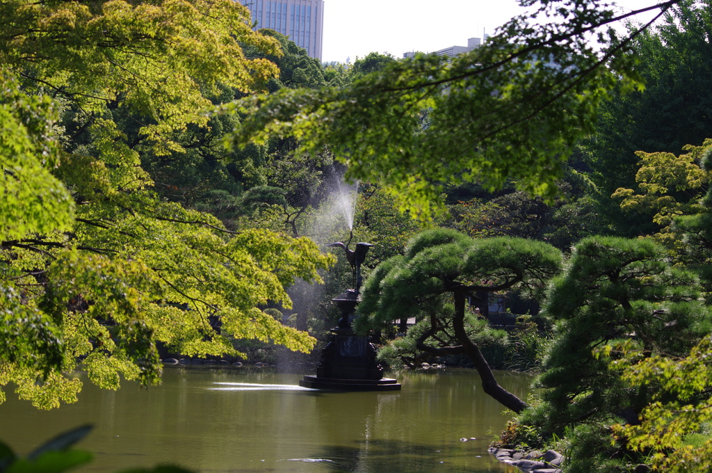 池と噴水　日比谷公園　9月上旬