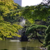 池と噴水　日比谷公園　9月上旬