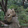 庭石