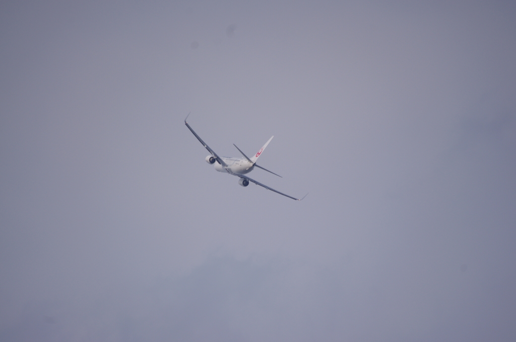 飛行機　4　つばさ公園　８月