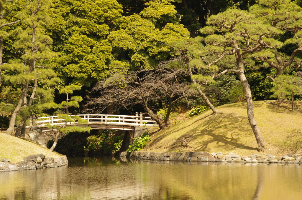 橋　旧芝離宮庭園