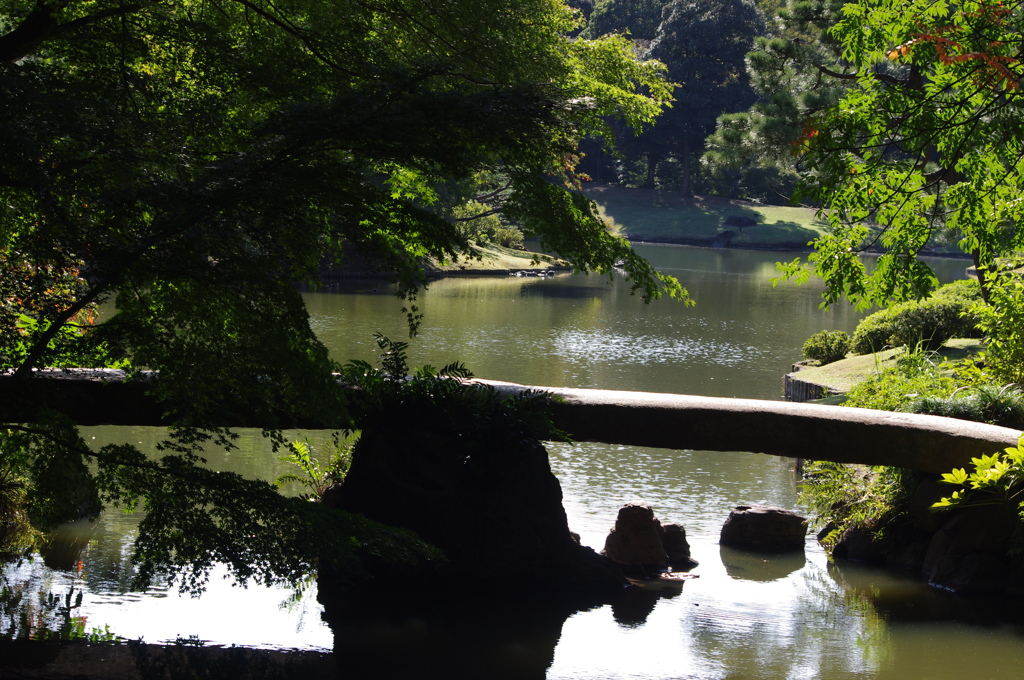 庭園風景　2