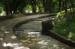 夏と水と　滝野川公園