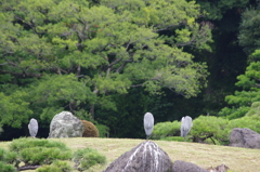 アオサギのいる風景