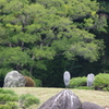 アオサギのいる風景