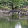 西湖の堤　旧芝離宮庭園　９月