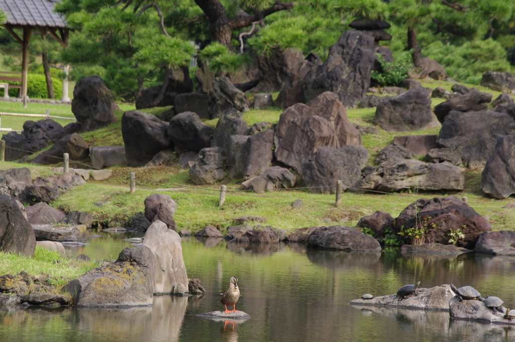 庭園の住人