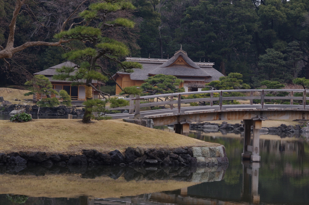 公園風景　3