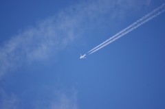 飛行機雲　六義園　１２月