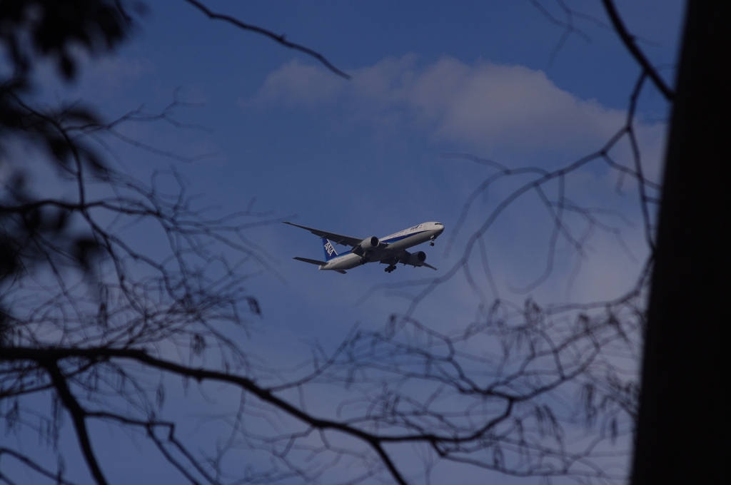 飛行機　1