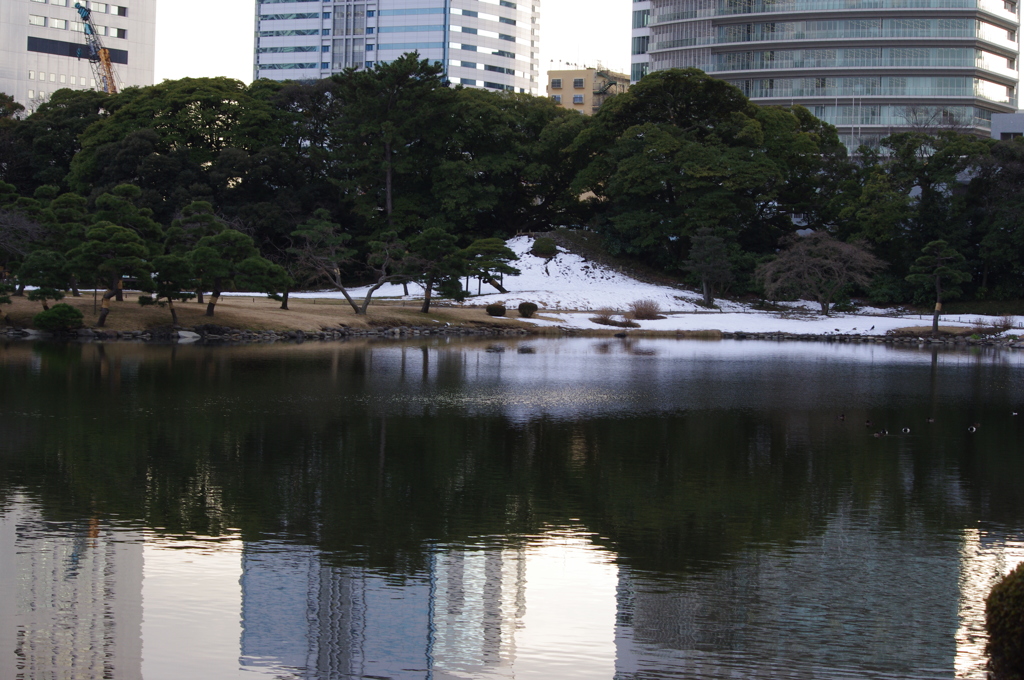 庭園の風景　1