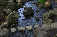 水色のセセラギ　戸越公園　9月
