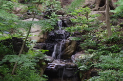 旧古河庭園　６月　目から涼を呼ぶ滝