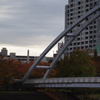 アイル橋のたもと　紅葉　1