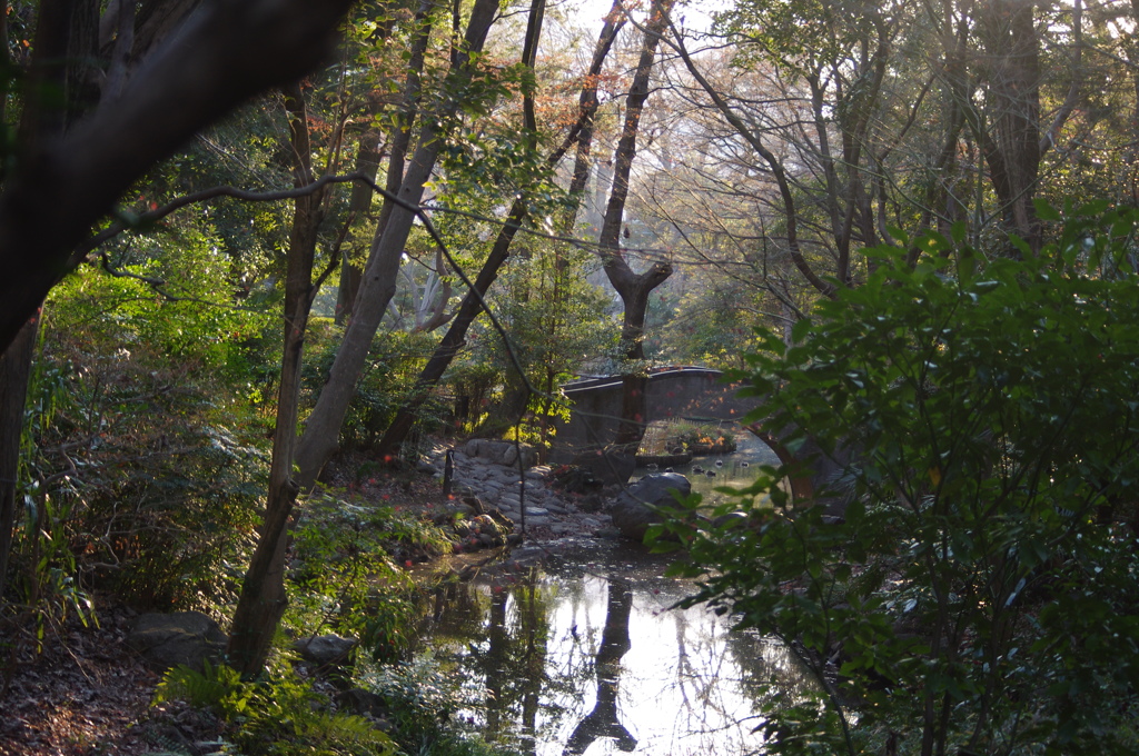 公園の橋