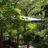 東屋　江戸川公園　８月