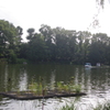 石神井公園の貸ボート