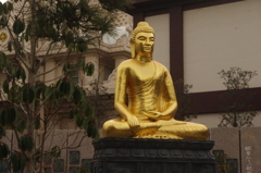 釈迦如来像