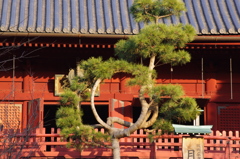 初詣　1　上野