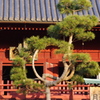 初詣　1　上野