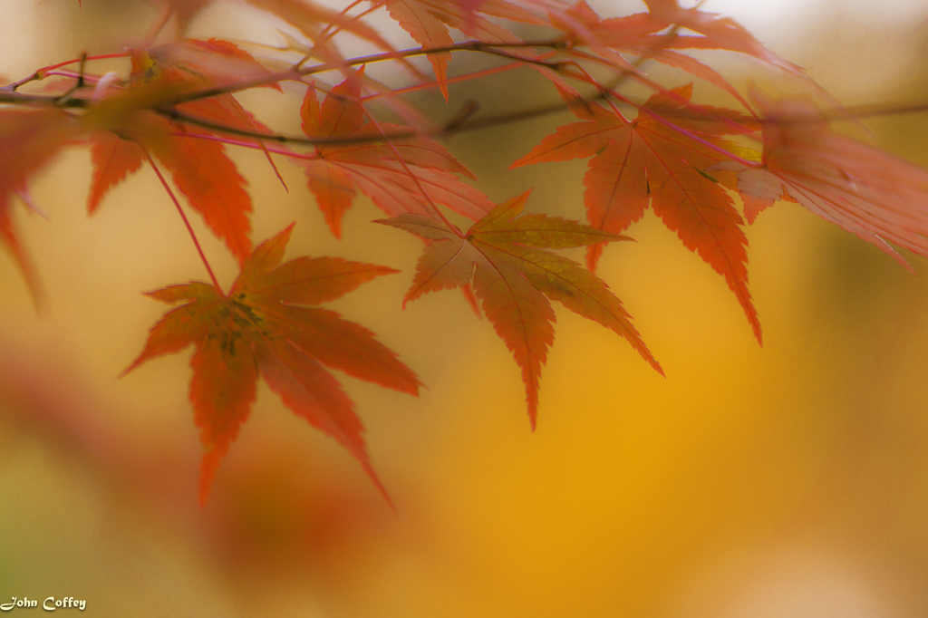小さい秋めっけた(^^♪