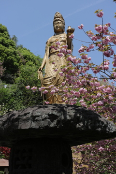 不動尊一心寺