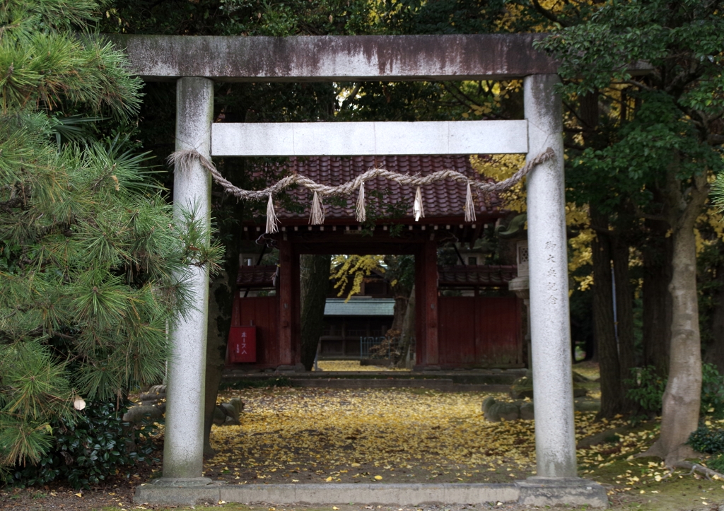 鳥居の向こうには