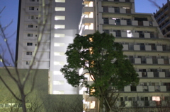 明けてきた!