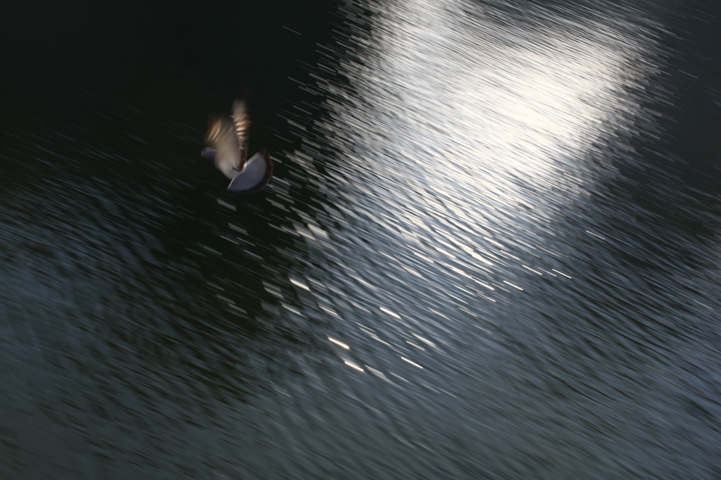 今日は追い付けなかった