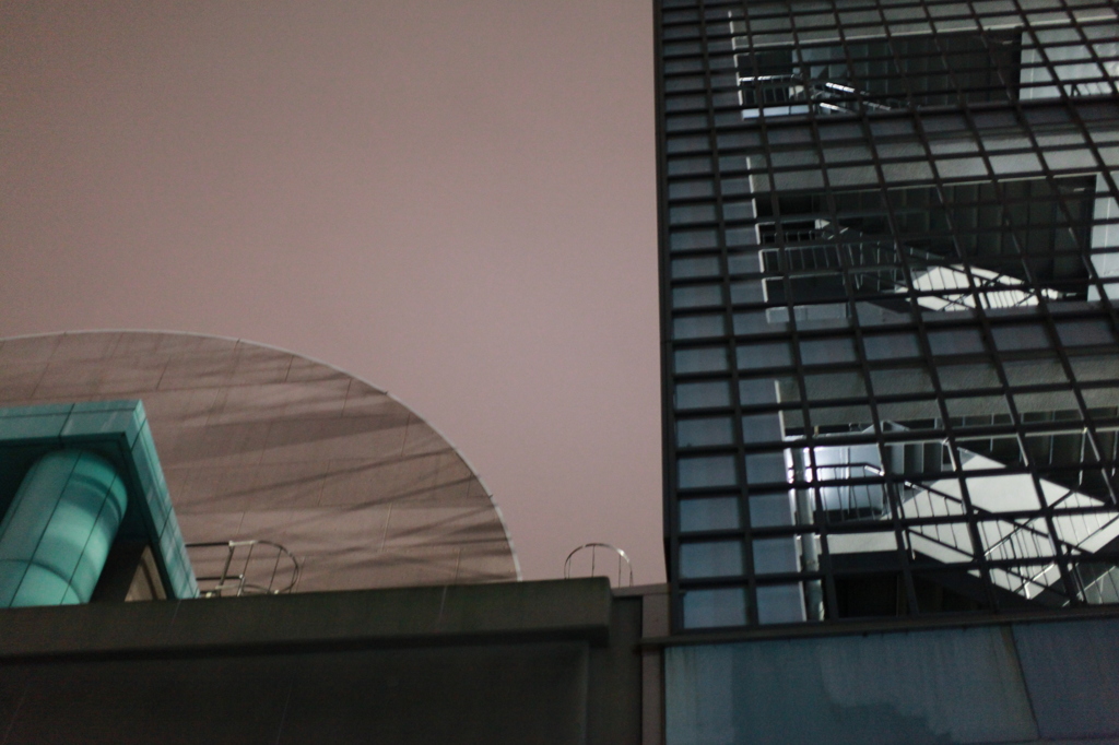 久しぶりに歩く