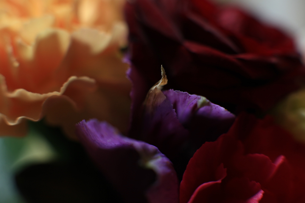 花瓶の花はいつか枯れていく。