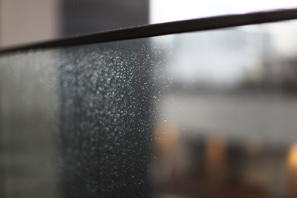今日は雨