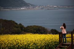 能古島の片想い