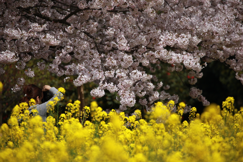 花