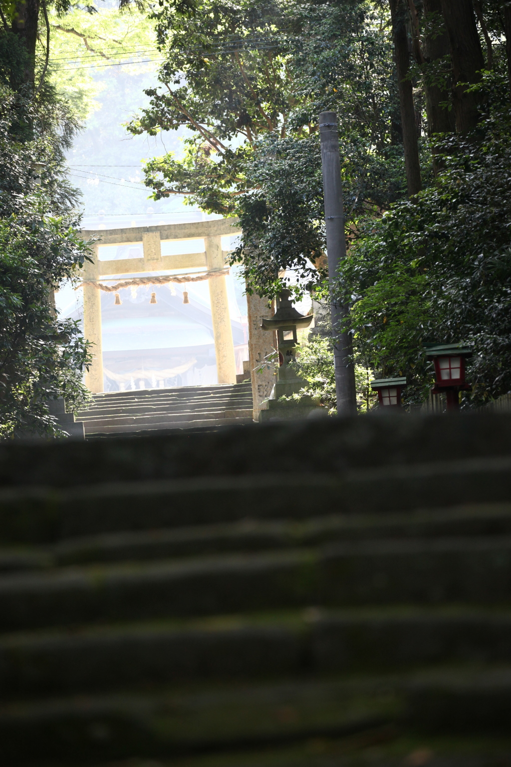 毎朝、家を出る時、この神社の塩を撒く