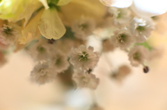 どんなに小さな花も美しい。