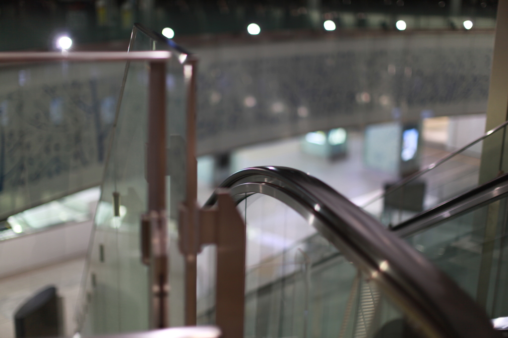 雨なので屋内の写真