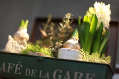 モスラの育てるグリーン