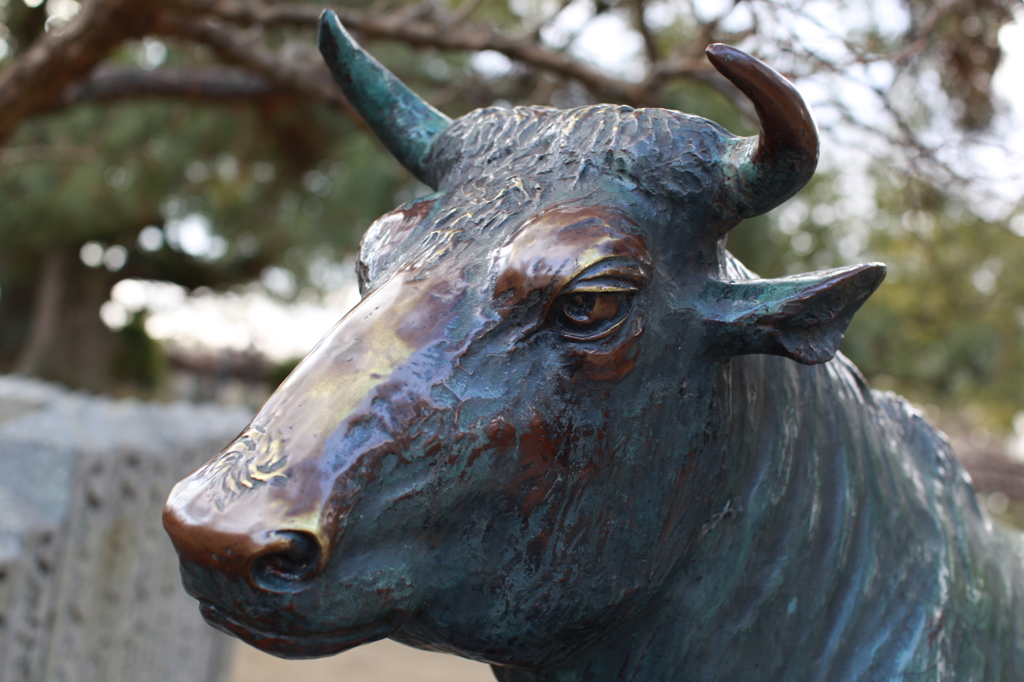 みんなの願いに輝いて